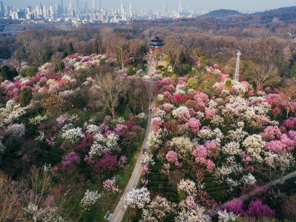 导游实力榜：沟通效率99%×规划专业度k